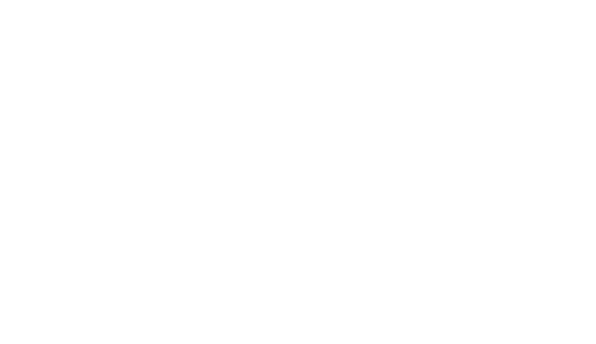 Naccho logo