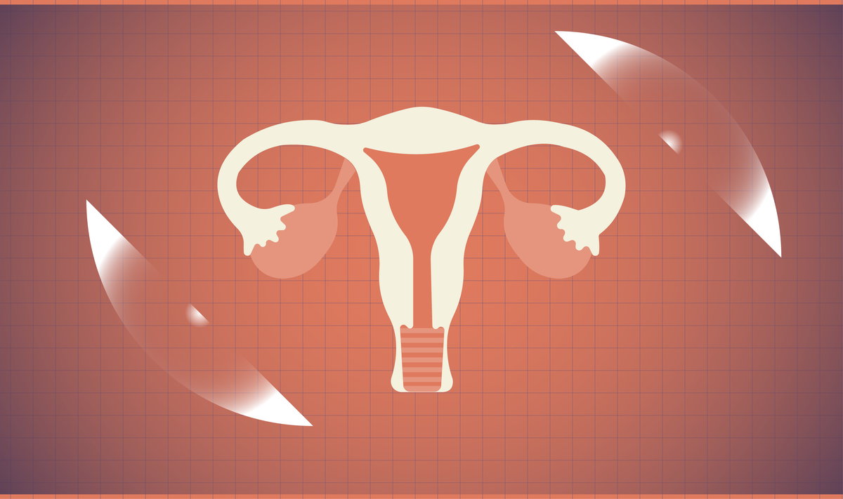 Viral video inaccurately depicting fetal development garners mixed reactions